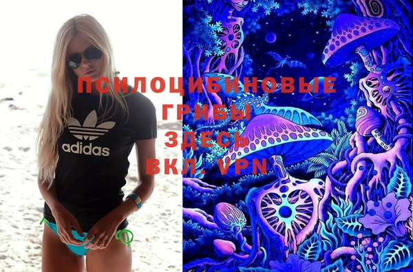 мдма Новозыбков