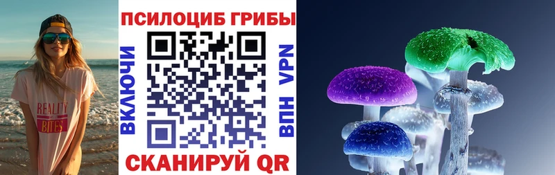 Псилоцибиновые грибы GOLDEN TEACHER  закладка  Кемь 