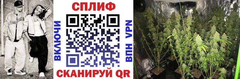 закладки Кемь Конопля сатива